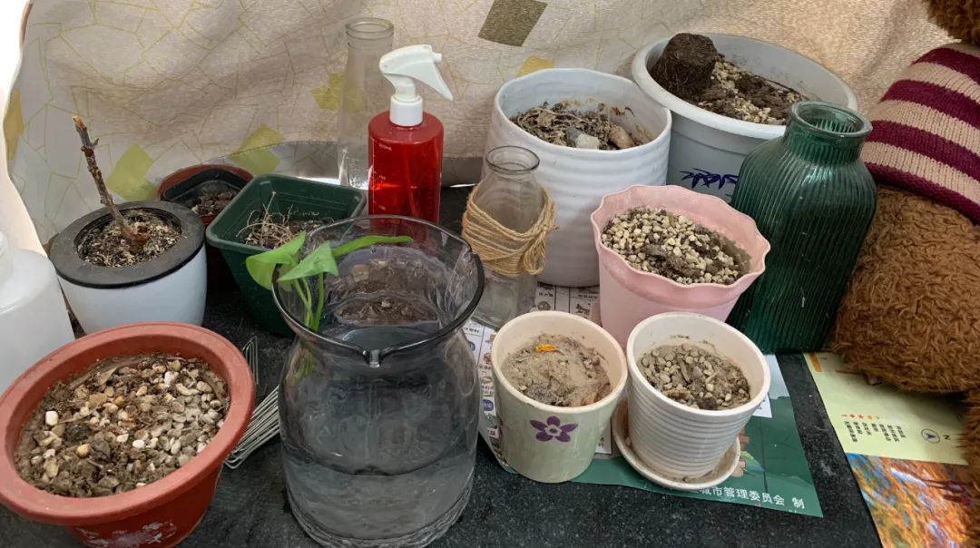 电动角磨机哪个牌子好_牌子电动角磨机好用吗_电动角磨机什么牌子好