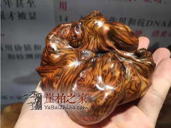 电动角磨机工作原理_电动角磨机手把_电动角磨机手转不动是什么原因
